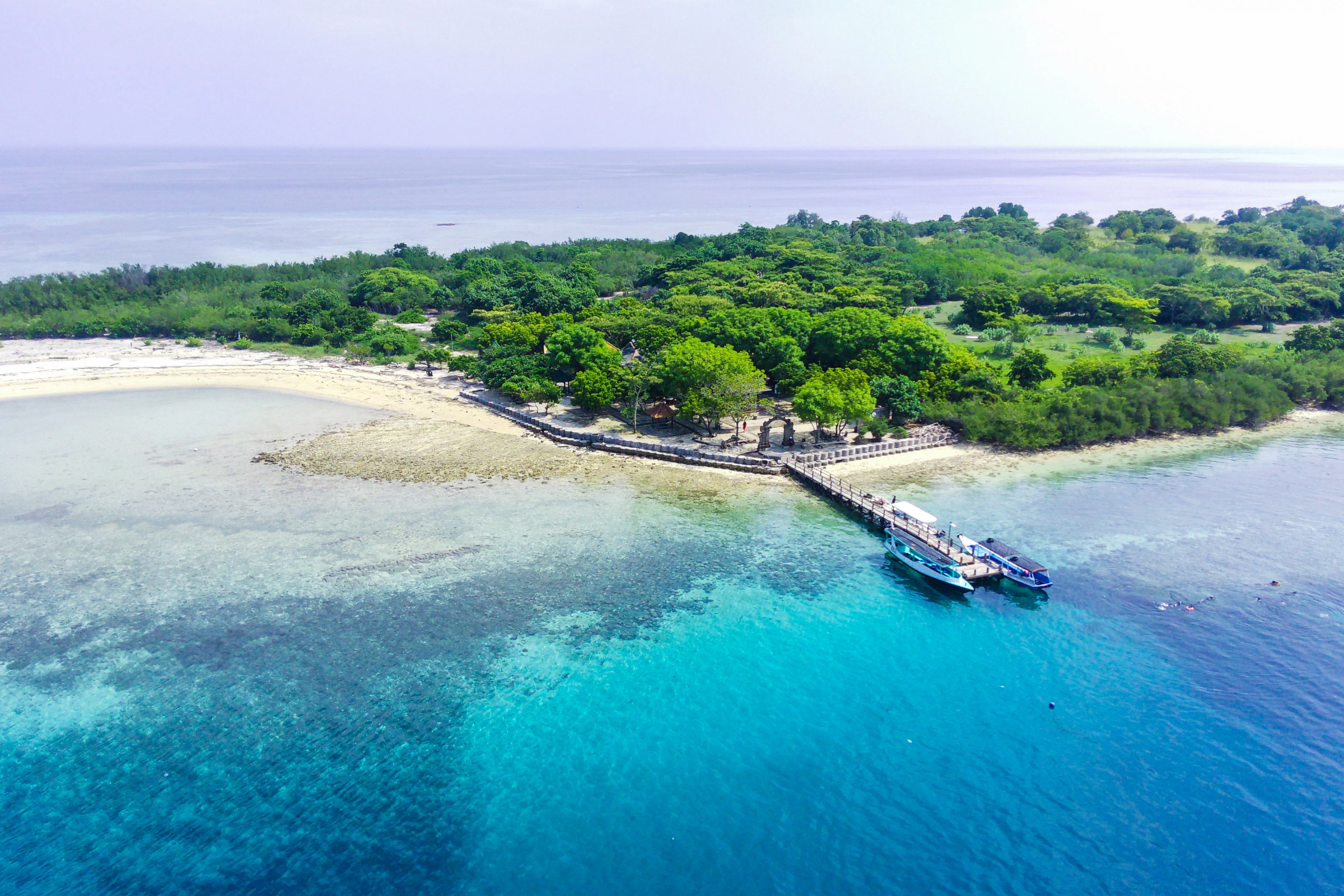Menjangan_Island[1].webp